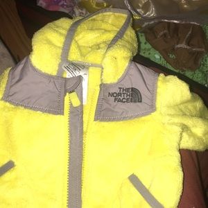 The north face
